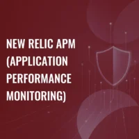 New Relic APM (Application Performance Monitoring)