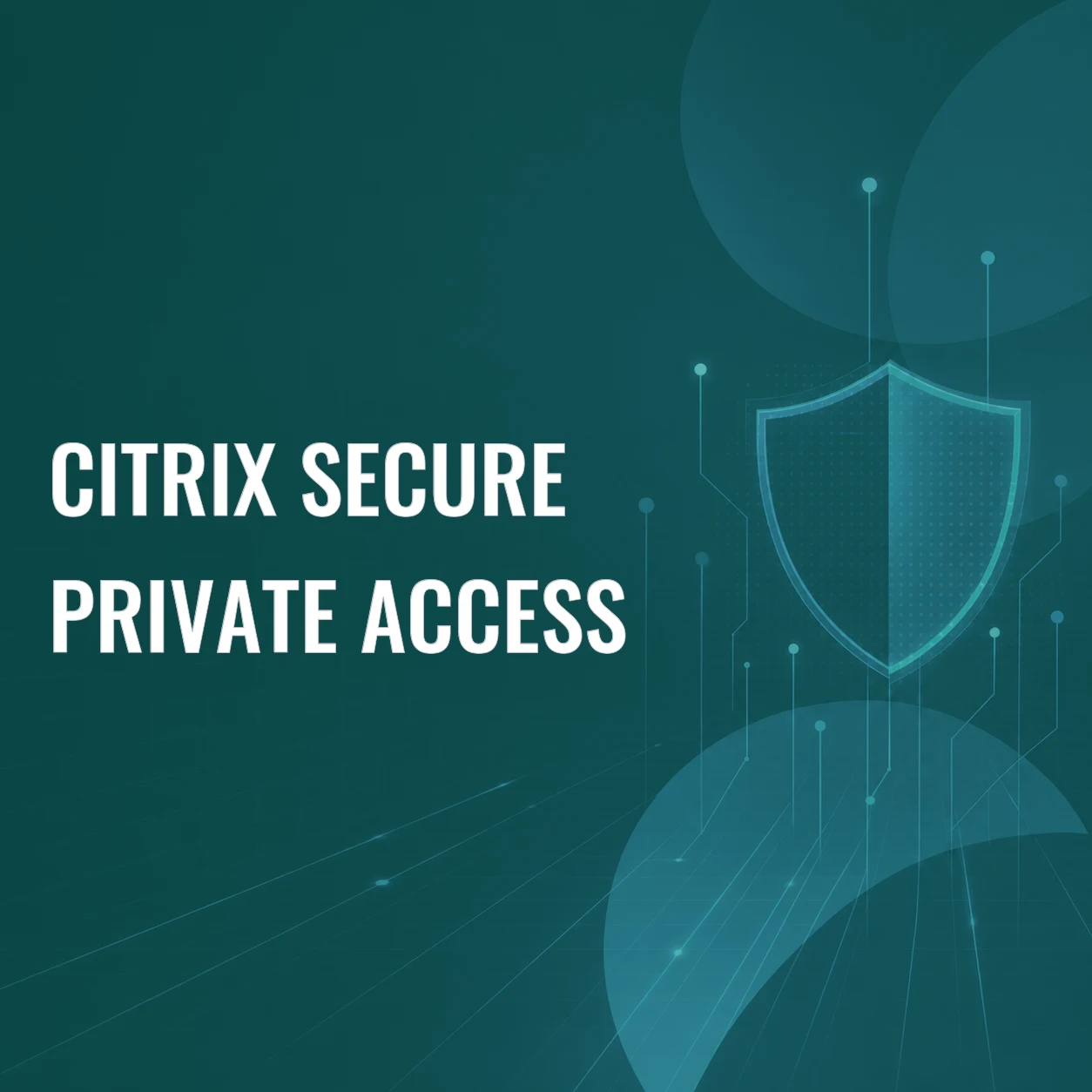 Citrix Secure Private Access