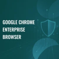 Google Chrome Enterprise Browser