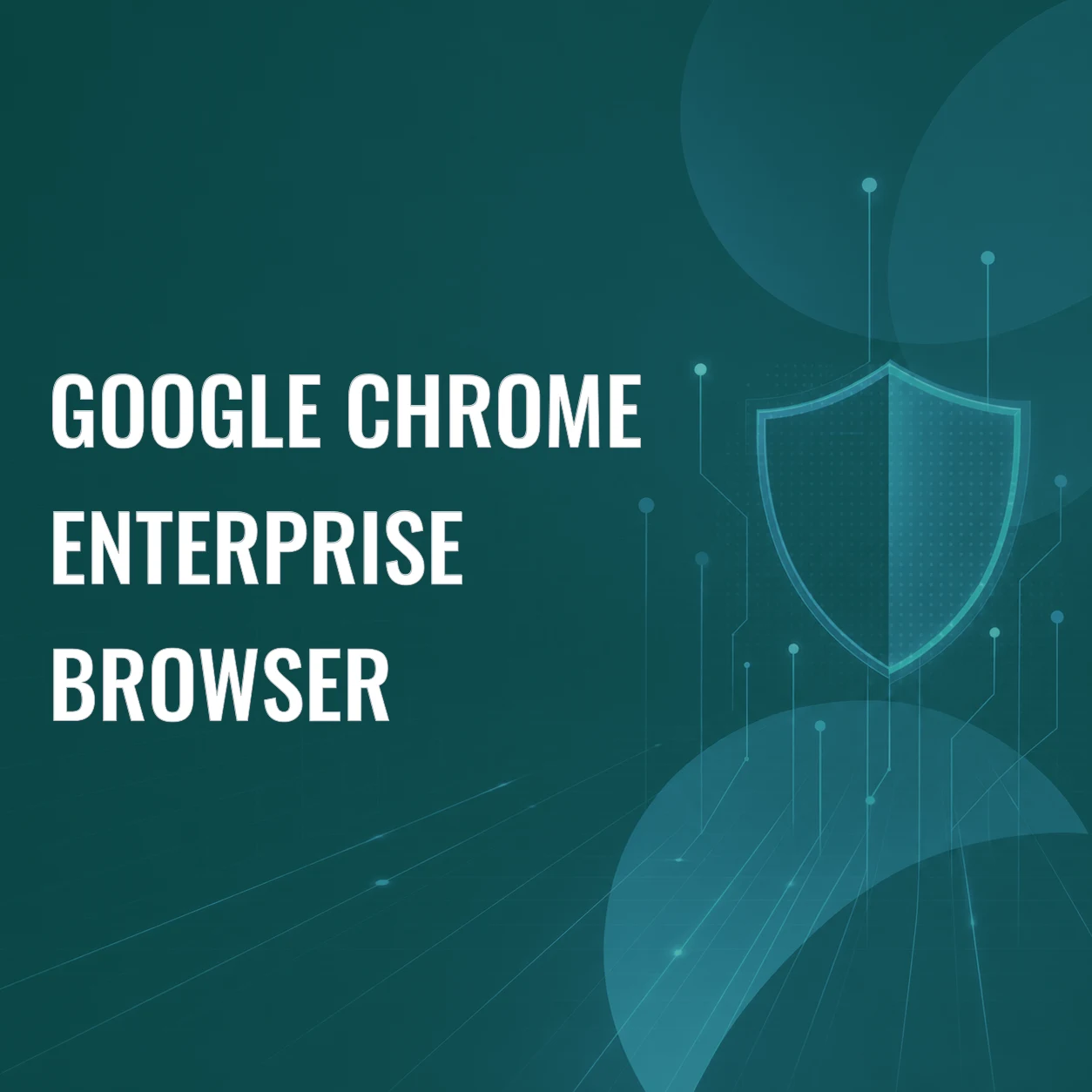 Google Chrome Enterprise Browser